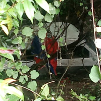 प्रधानमन्त्री प्रचण्ड र अध्यक्ष ओलीबिच भेटवार्ता
