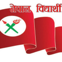 मकवानपुरमा जङ्गली हात्तीद्वारा घरमा क्षति