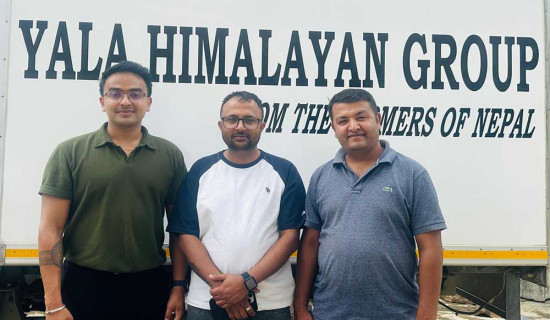 अमेरिकी बजारमा लोकप्रिय बन्दै ‘याला हिमालयन डग चियु’