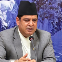 चोरी तस्करीका गोलिया बरामद