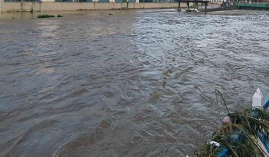 प्लाष्टिकमा भ्रुण बोकेर हिँड्ने भारतीय नागरिक पक्राउ