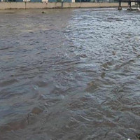 काठमाडौँका ४६ स्थानबाट फूल बिक्री गरिँदै