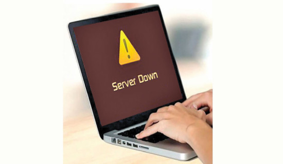 लाइसेन्सको सेवा दिनभर बन्द