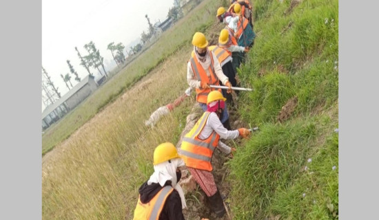 सुनवल रोजगार शाखाद्वारा ७७ जनालाई रोजगार