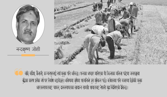 शिक्षामा अधिकार बाँडफाँट