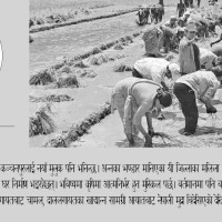 समाज बोल्ने तस्बिर