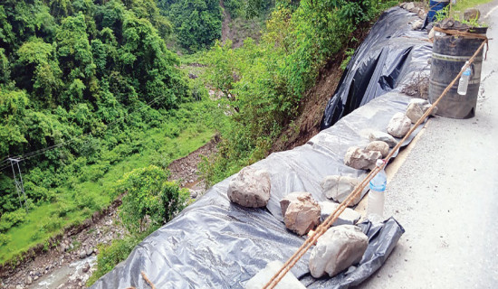 वातावरणमैत्री घरमा रमाउँदै दम्पती