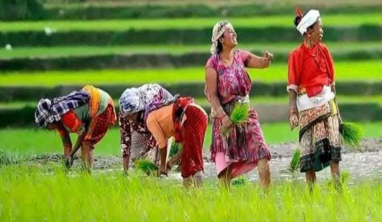 समावेशीकरणको दिशामा नयाँ फड्को : गोरखापत्रद्वारा प्रकाशित याक्खा भाषा