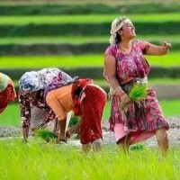 मातातीर्थमा बिहानैदेखि दर्शन गर्ने भक्तजनको घुइँचो
