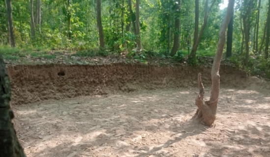 सात चरण पूरा गर्नुपर्ने  लिमीको विवाह