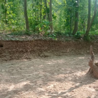 क्रिप्टो कारोबारमा संलग्न दुई जना पक्राउ