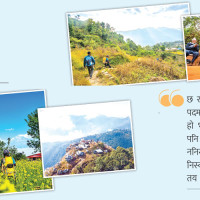 पराजयमा पनि  छैन आलोचना