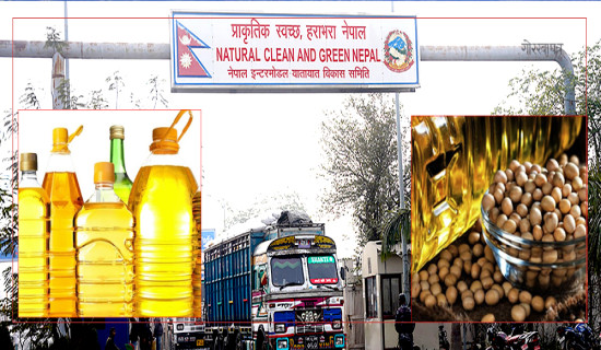 भटमासको कच्चा तेल आयात ५२ अर्ब, निर्यात ५५ अर्ब