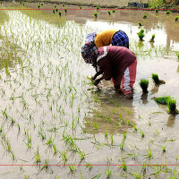 बालविवाह रोक्न सामूहिक प्रयास आवश्यक