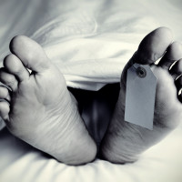 झोलुङ्गे पुलमा पर्यटक