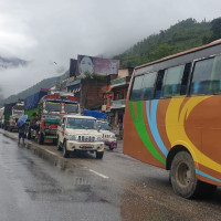 चौरचन पर्व नजिकिँदै गर्दा केराको माग उच्च