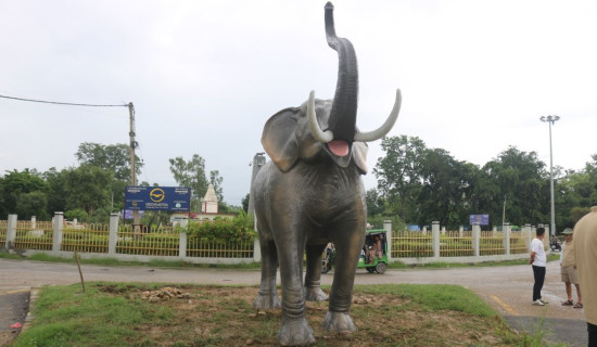 कोहलपुर चौराहमा जनावरको मूर्ति