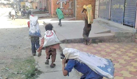 सडक बालबालिकामुक्त राष्ट्र घोषणा अन्तिम चरणमा
