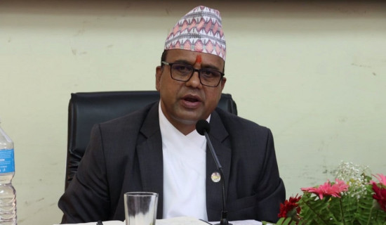 हवाई सुरक्षा चुनौती हटाउन विधेयक: पाण्डे