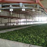 सानिमा मिडिल तमोरको आइपिओ खुला