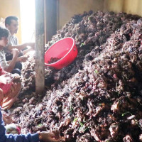 मुक्तिनाथ दर्शन : भारतीय भक्तजनको घुइँचो