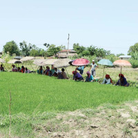 मुक्तिनाथ दर्शन : भारतीय भक्तजनको घुइँचो