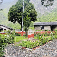 महिलालाई गोबरको गुुइँठा बनाउने चटारो
