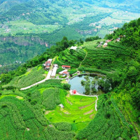 भन्सार छलीको सामानसहित दुई जना पक्राउ