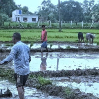 अष्ट्रेलियाली अध्यागमन र राष्ट्रिय सुरक्षा मामिलामा विवादित मन्त्रीको जिम्मेवारी हेरफेर