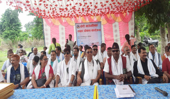 जनलोकपाल आयोगमा १८ उजुरी दर्ता, कर्मचारी आभावले अनुसन्धानमा समस्या