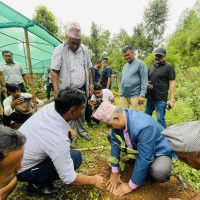 भूकम्प प्रभावितका लागि अस्थायी संरचना