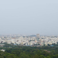 सहकारी ठगी आरोपमा प्रदेश सांसदका छोरा पक्राउ
