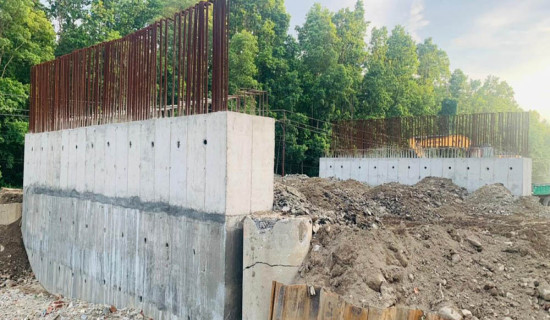 निर्माणाधीन ‘एलिफेन्ट क्रसिङ’ ४५ प्रतिशत सम्पन्न