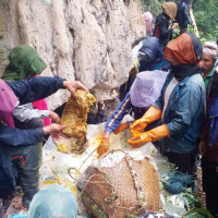 सार्वजनिक सेवा प्रवाह