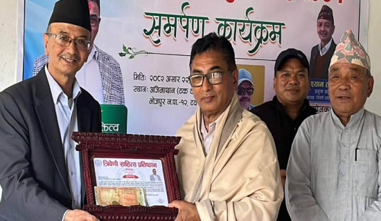 कञ्चनपुरको भीमदत्त–६ मा कांग्रेसका चन्द विजयी
