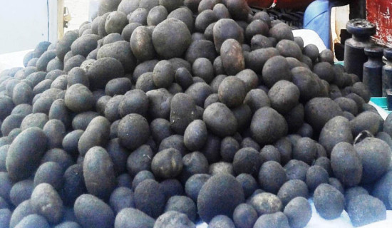 थारु समुदायको भान्सामा हराउँदै ‘फुटकी च्याउ’ को स्वाद