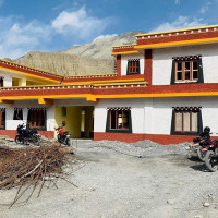 टी–२० मा सबै टोलीको हैसियत बराबर : कप्तान रोहित