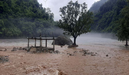 शिला शालिग्राम डुबानमा