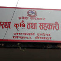 बामपन्थी शक्तिबीच एकता गर्न एकीकृत समाजवादीमा दबाब