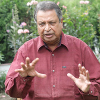 किवी खेतीबाट वार्षिक १० लाखभन्दा बढी आम्दानी