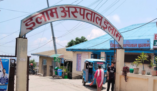 मृत भेटिएको बाघले कुनै विषादी सेवन नगरेको रिपोर्टमा उल्लेख