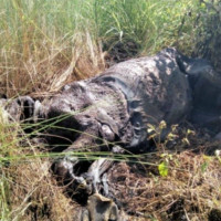 वर्तमान आर्थिक अवस्थाबारे सङ्गोष्ठी