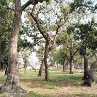 बागमतीमा प्रदेशको नीति तथा कार्यक्रममाथिको छलफल सकियो