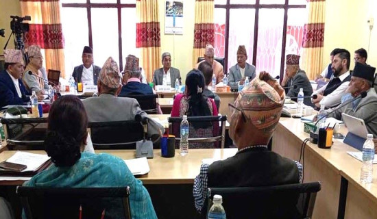 परियारको संयोजकत्वमा विशेष समिति गठन