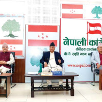 नेपालगन्जमा डेंगु रोगको उच्च जोखिम