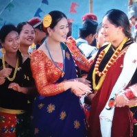भ्रष्टाचारीलाई संरक्षण गर्नु हुँदैनः सांसद शर्मा