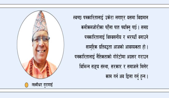 व्यावसायिकता जोगाउने चुनौती
