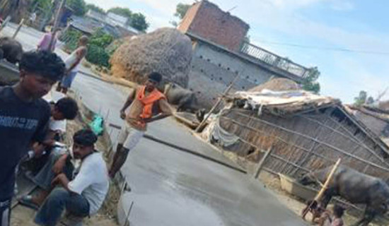 पाहुना बोलाउन लाज मान्ने बस्तीमा पक्की सडकले ल्याएको खुसी