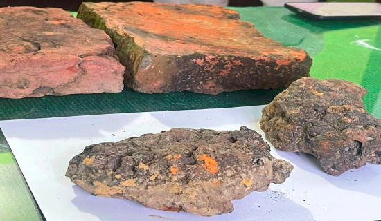 थारु होमस्टे महोत्सव आयोजना हुने