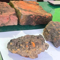 शिवालयहरूमा दर्शनार्थीकोे भिड